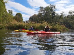 Groschenwasser, Okt 2025